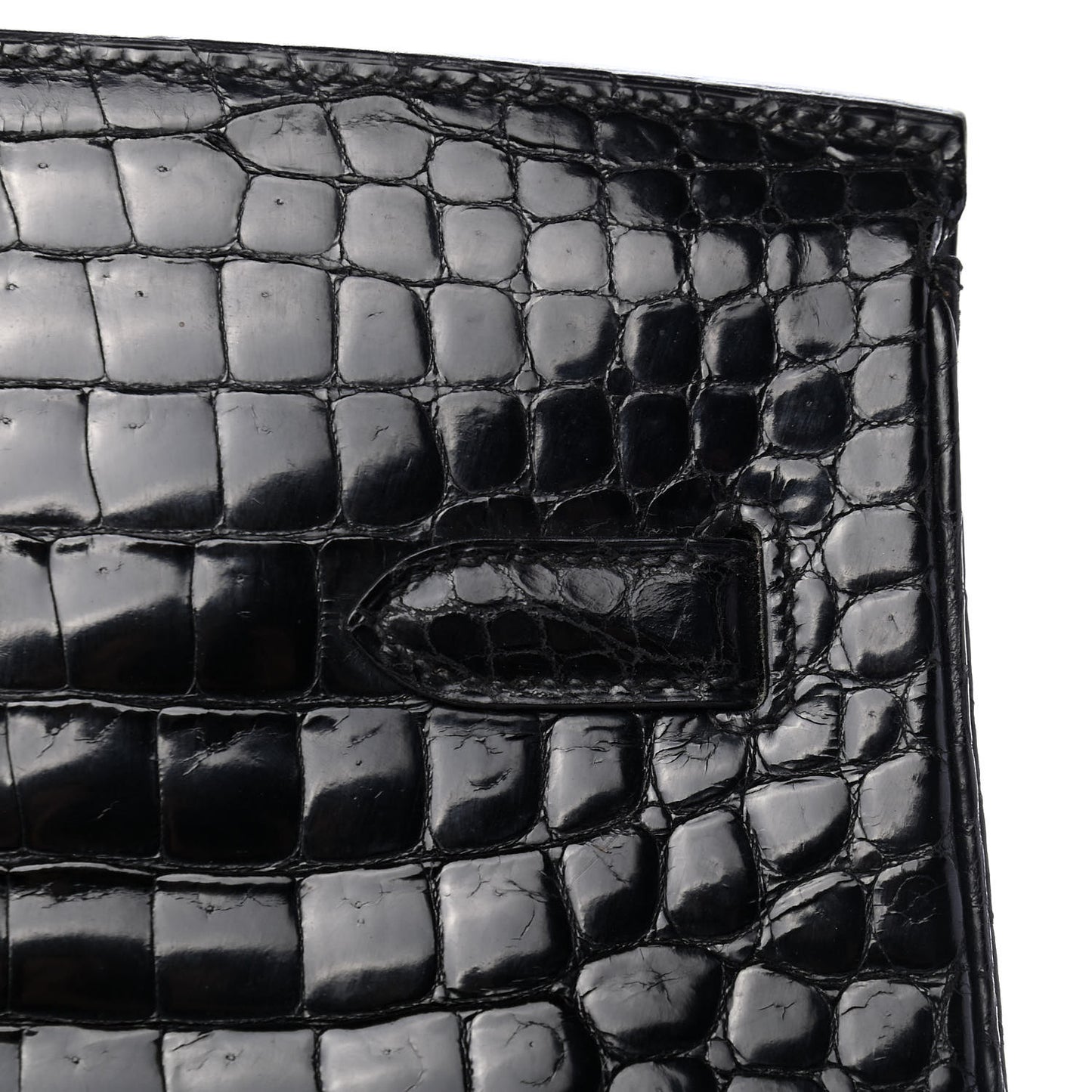Shiny Porosus Crocodile Birkin 35 Black
