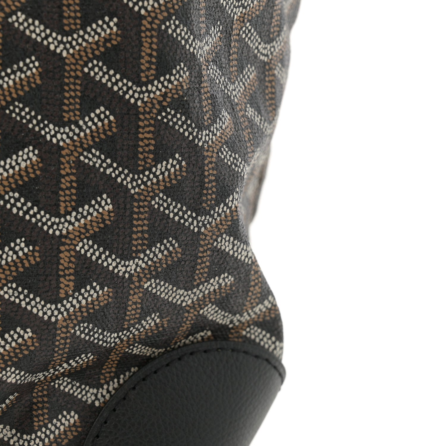 Goyard Goyardine Saint Louis PM Black 15 of 16