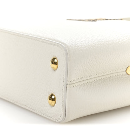 Louis Vuitton Taurillon Ayers Capucines Mini White Snow White 9 of 10