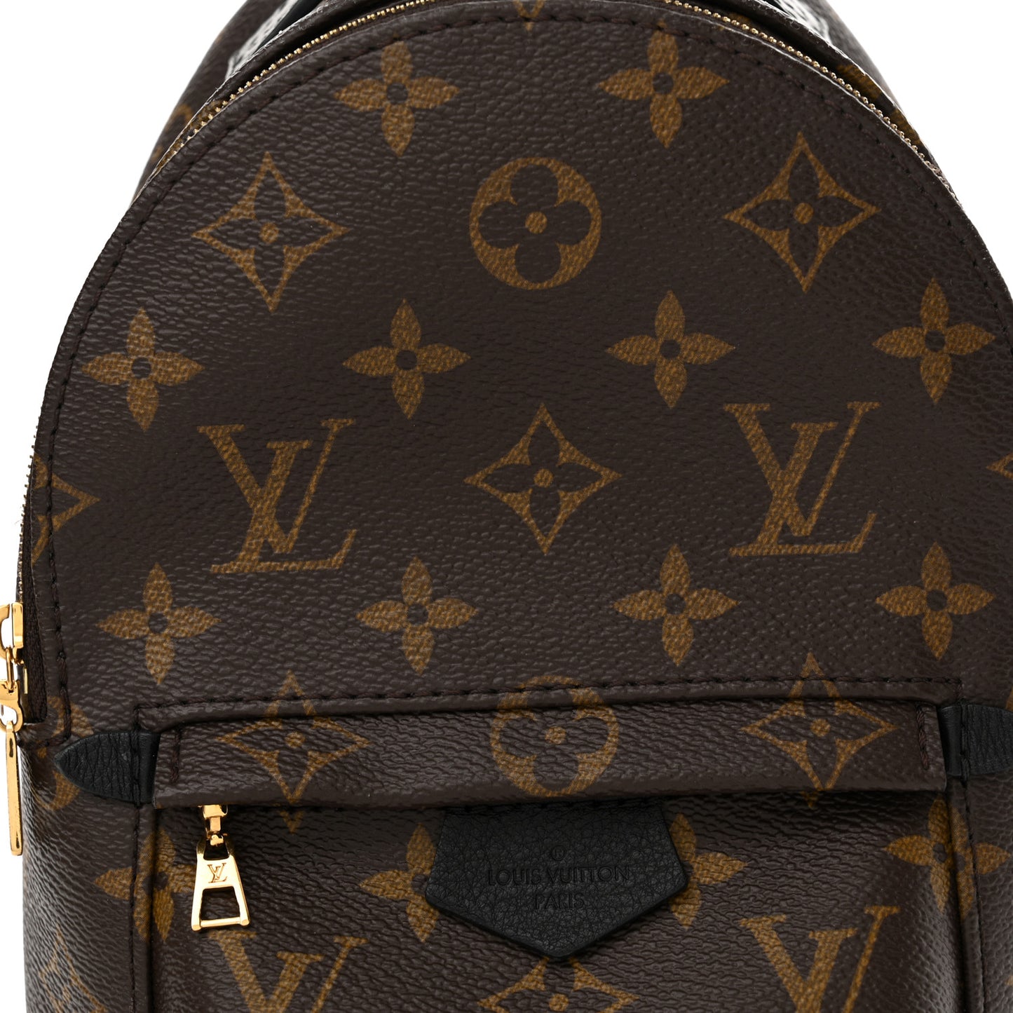 Monogram Palm Springs Backpack Mini