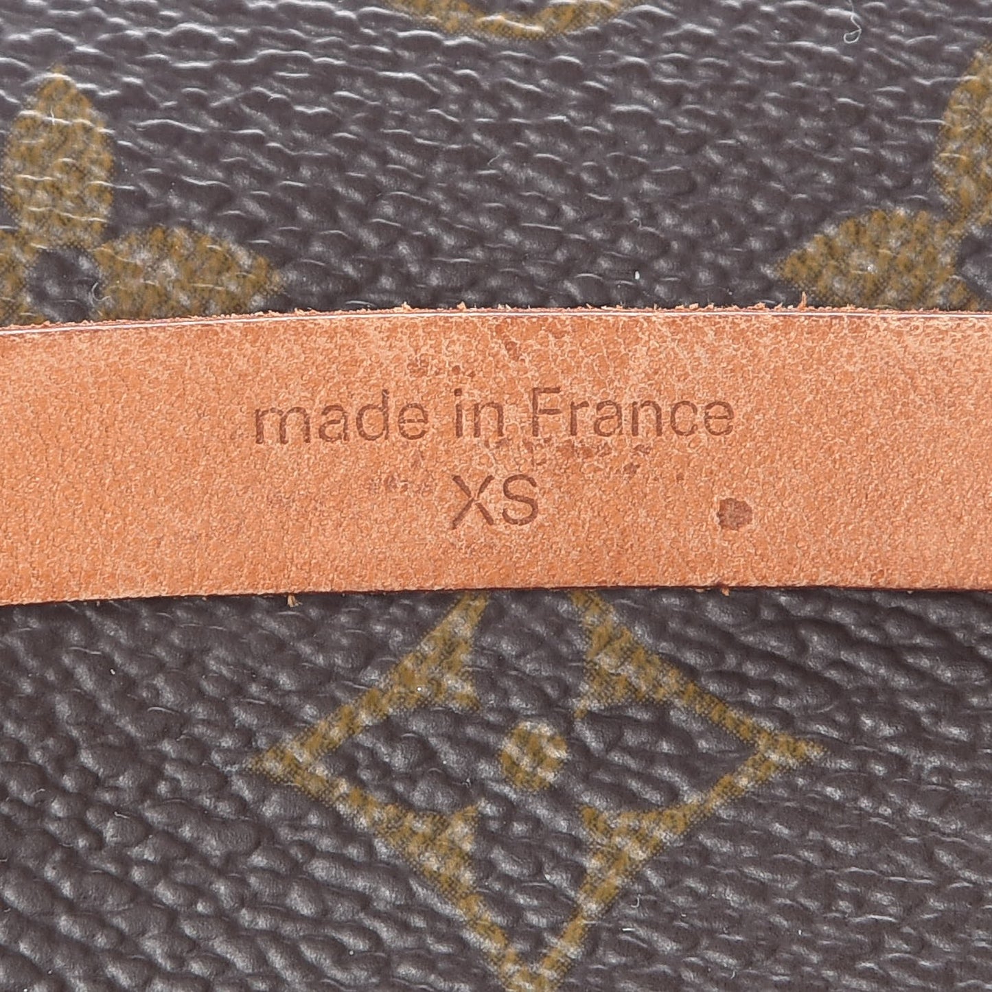 Monogram Pochette Florentine XS