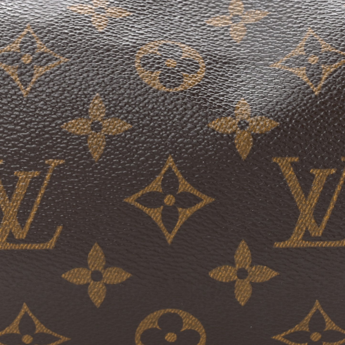 Monogram Papillon 30 with Companion