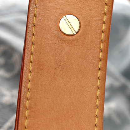 Louis Vuitton Denim Daily GM Blue Clair 19 of 21