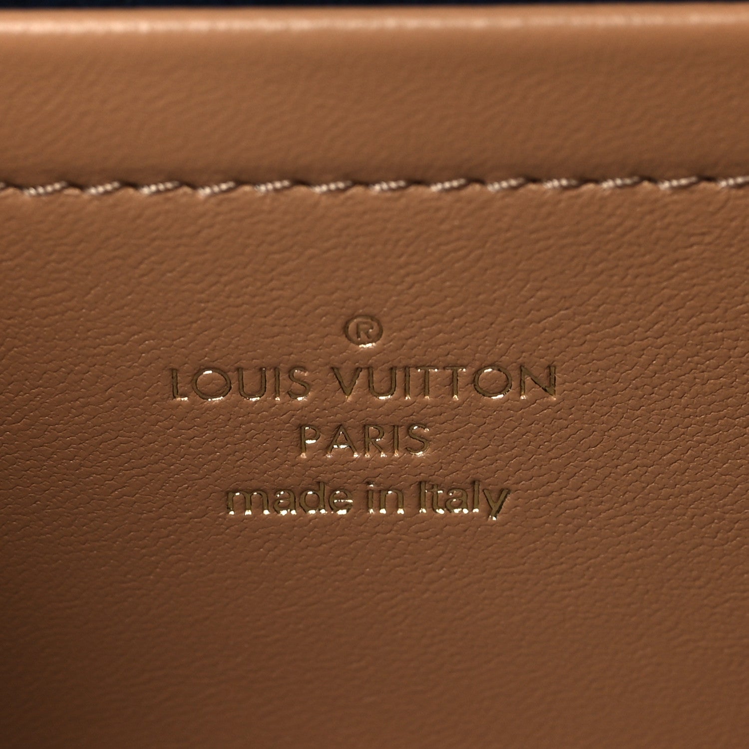Louis Vuitton Lambskin Embossed Monogram Pochette Coussin Camel 6 of 10