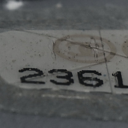 Chanel Galuchat Stingray Small Boy Flap Silver 7 of 11