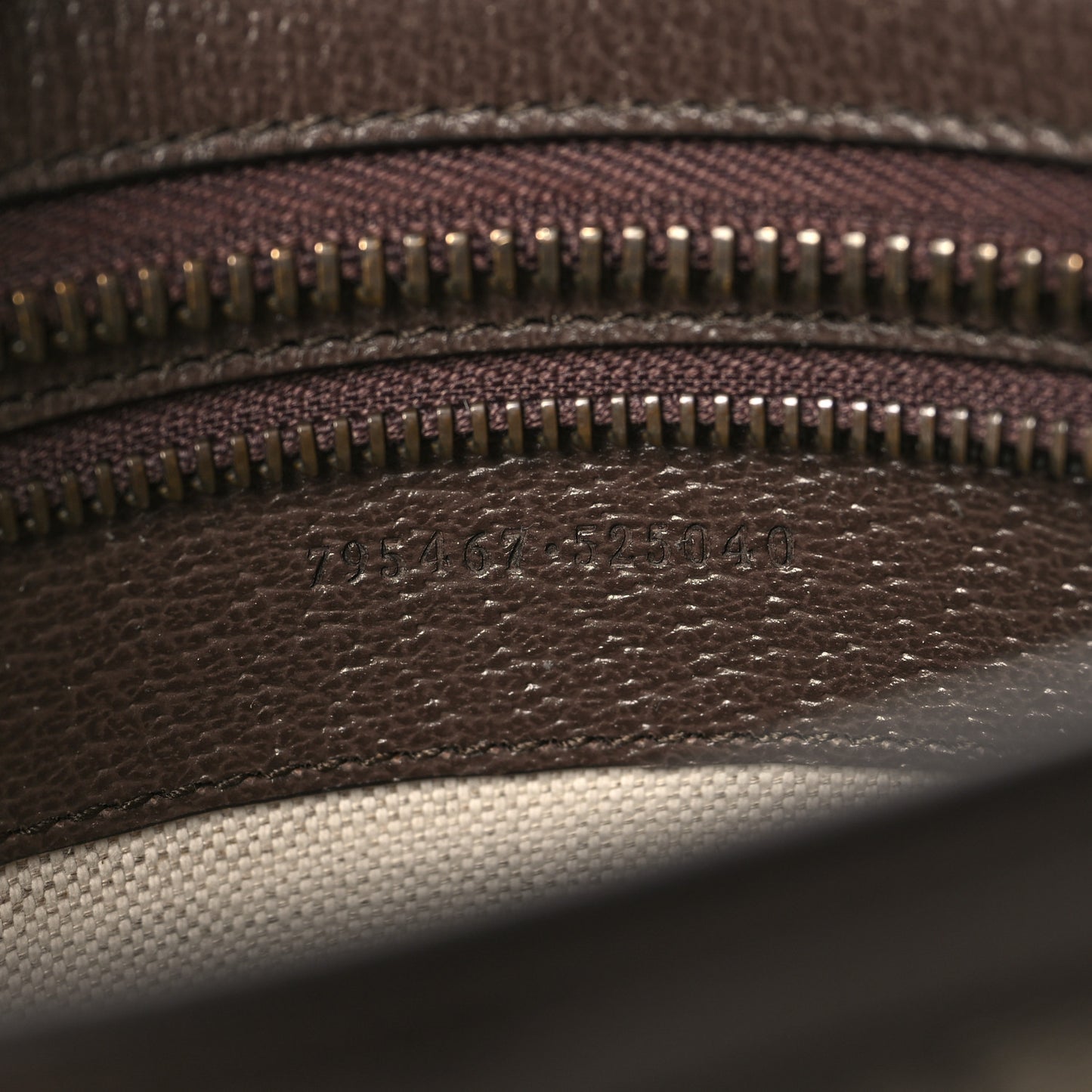 GG Supreme Monogram Web Small Ophidia Shoulder Bag Brown