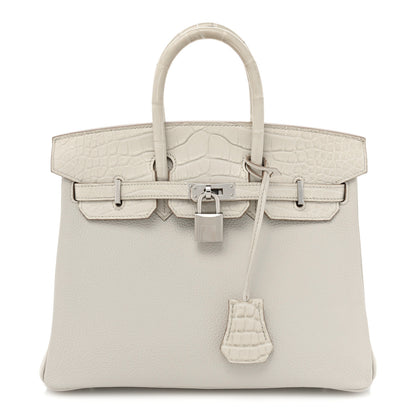 Hermes Togo Matte Alligator Birkin Touch 25 Beton 1 of 11