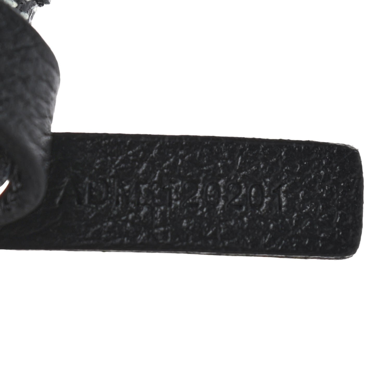 Goyard Goyardine Saint Louis PM Black 6 of 8