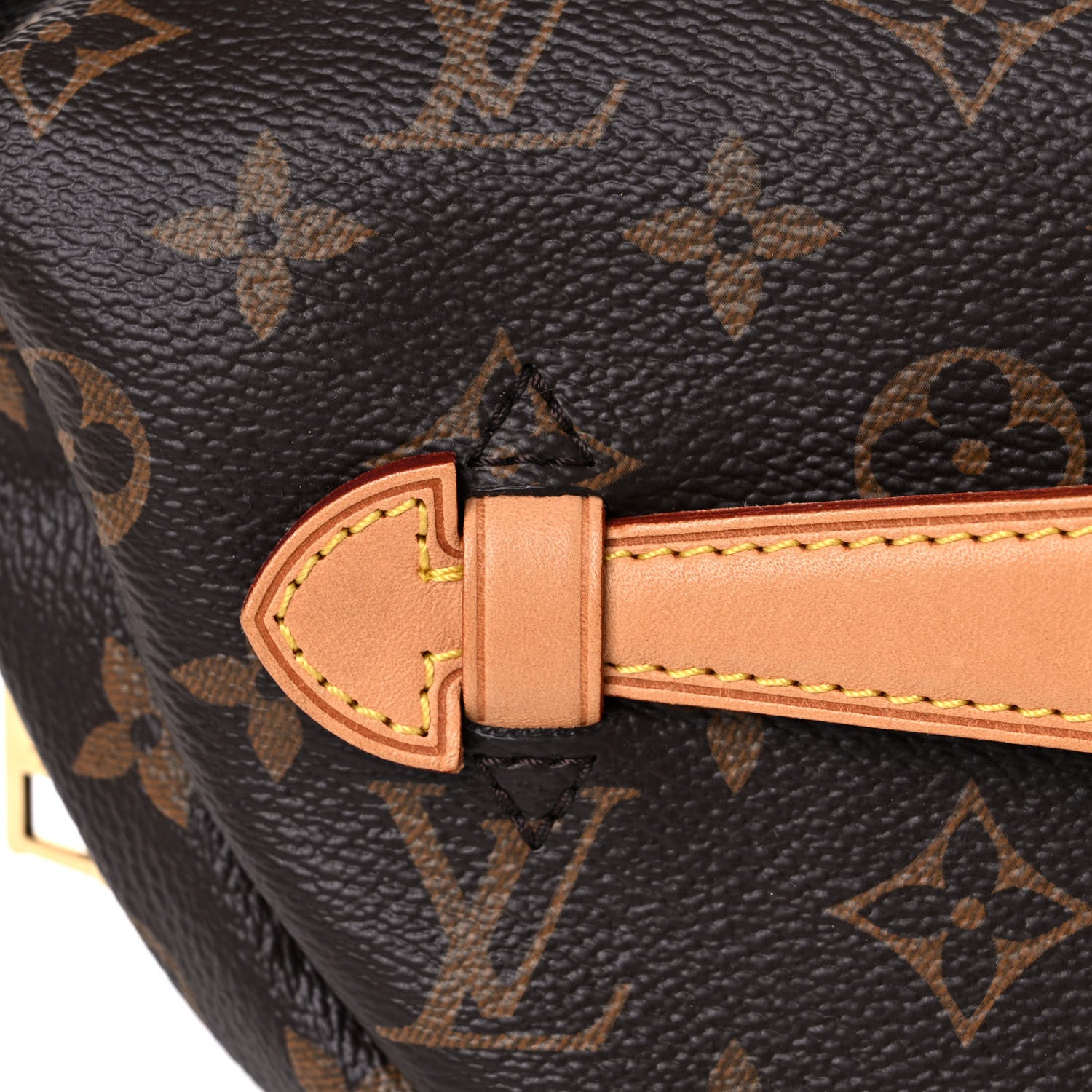 Louis Vuitton Monogram Bumbag 13 of 14