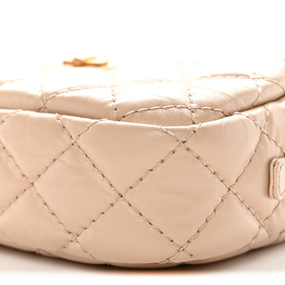 Chanel Aged Calfskin Quilted Mini Reissue Camera Case Beige Clair 10 of 11