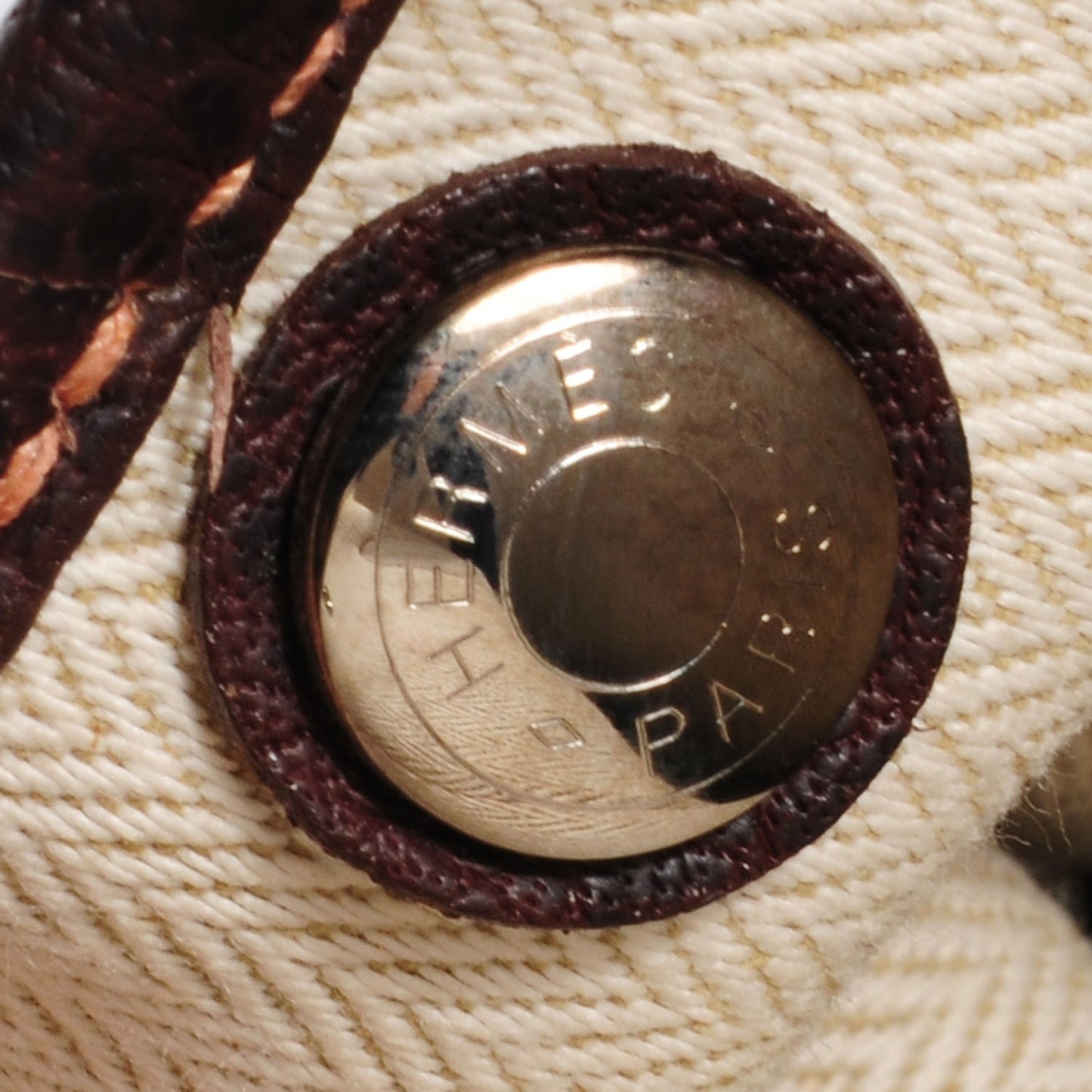 Amazonia Buffle Skipper Garden Party 30 PM Havane