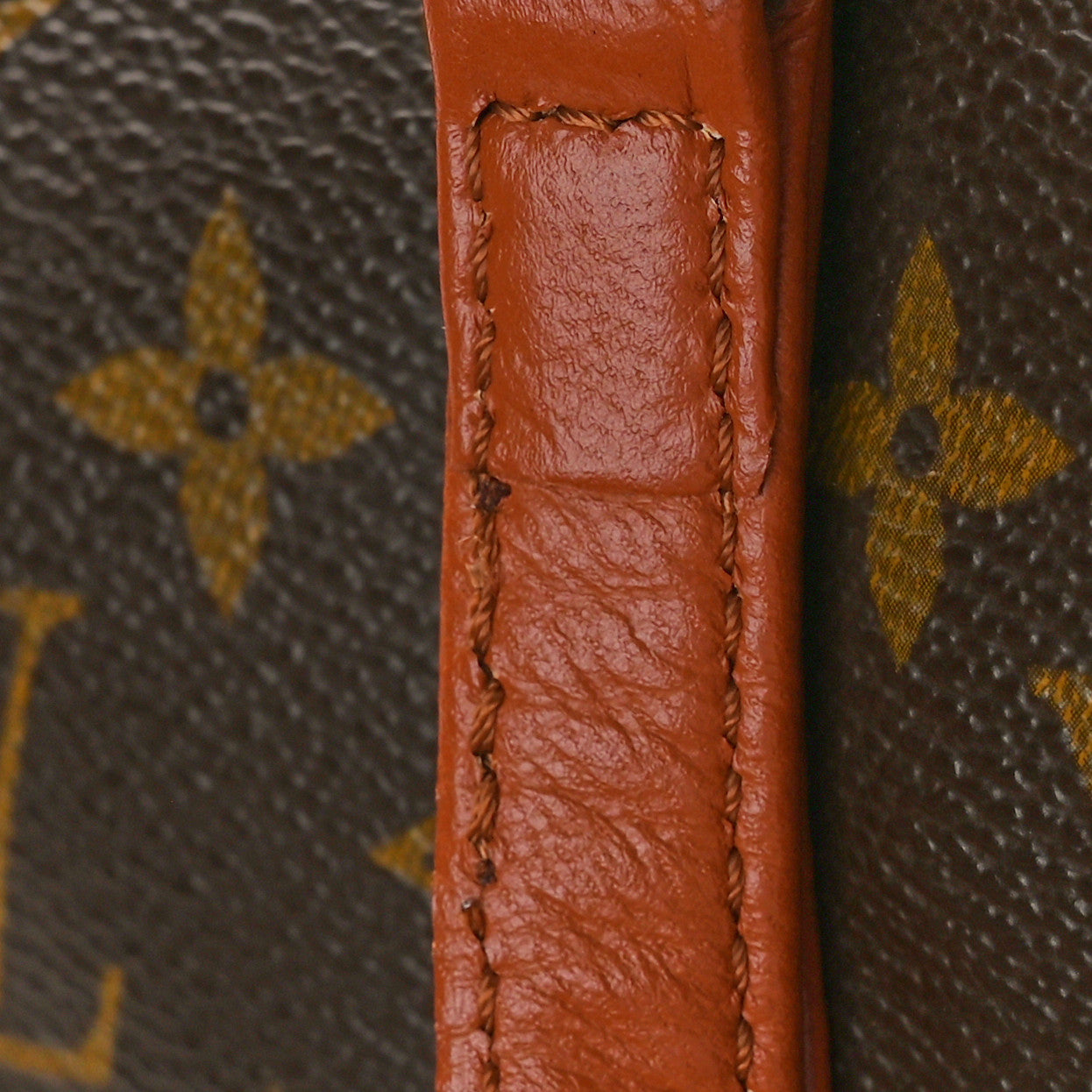 Monogram Papillon 30 with Companion