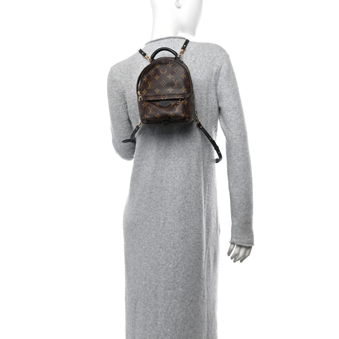 Monogram Palm Springs Backpack Mini