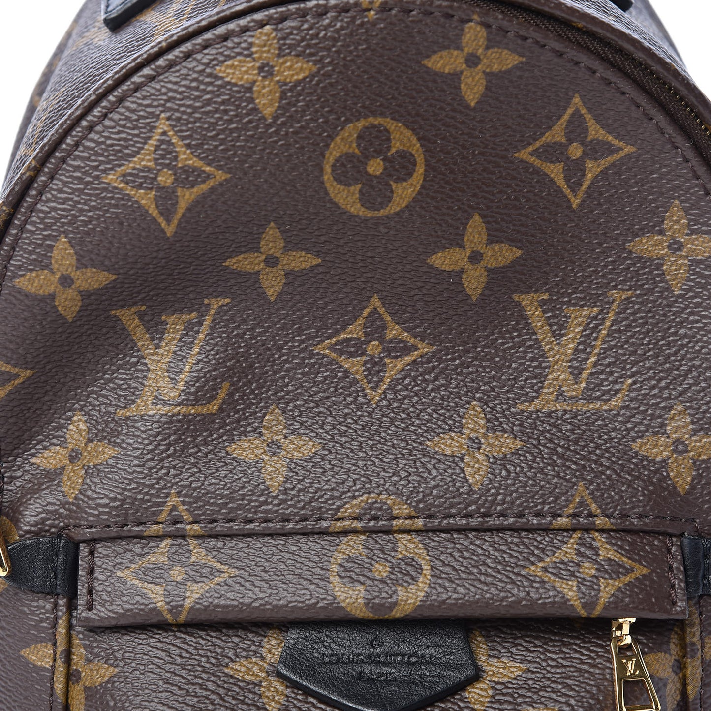 Monogram Palm Springs Backpack Mini