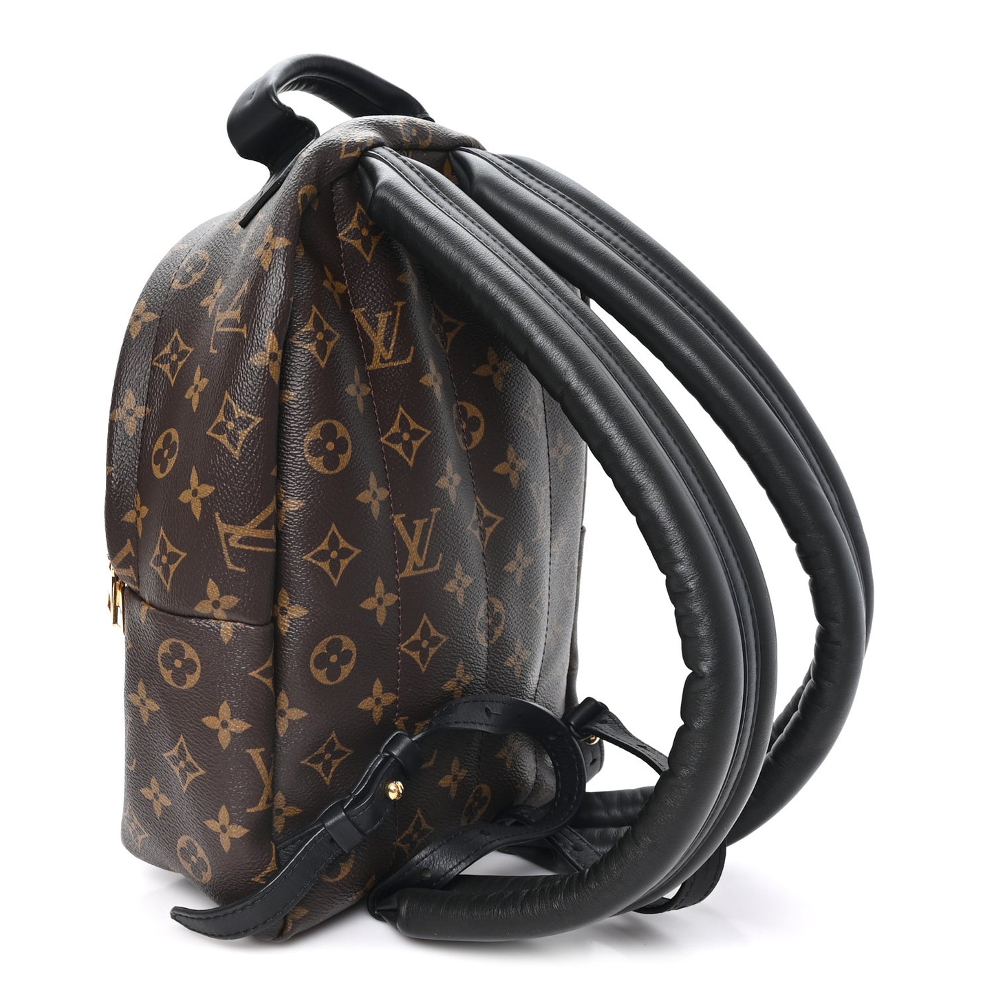 Monogram Palm Springs Backpack PM