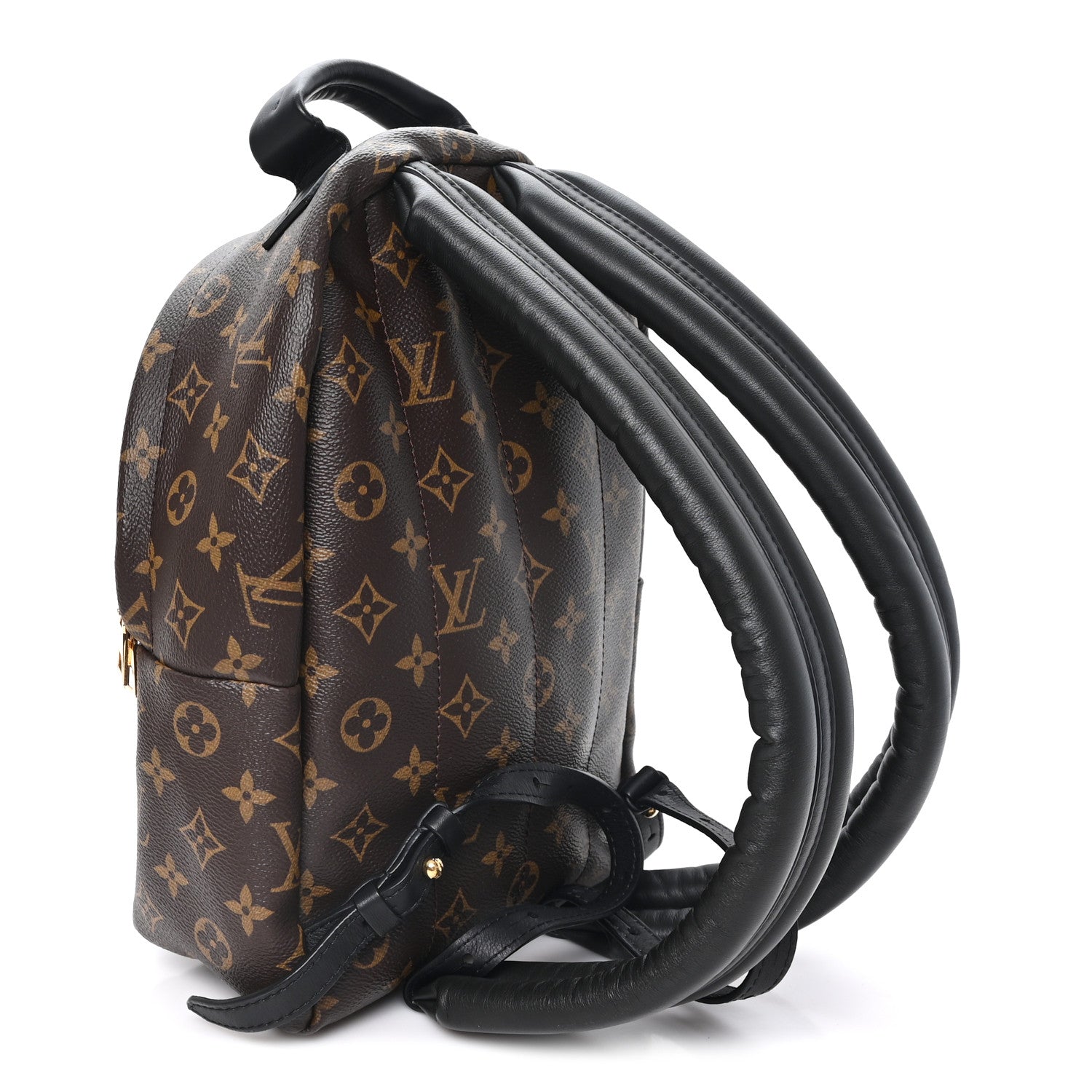 Louis Vuitton Monogram Palm Springs Backpack PM 3 of 9