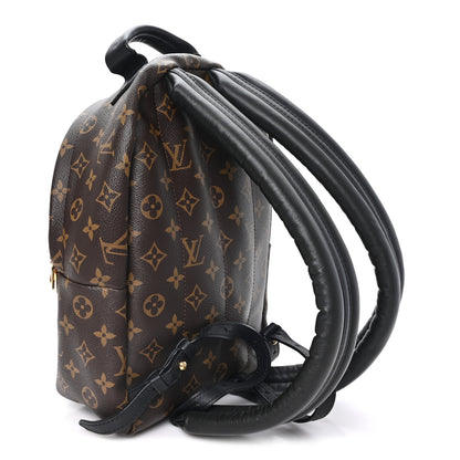 Louis Vuitton Monogram Palm Springs Backpack PM 3 of 9