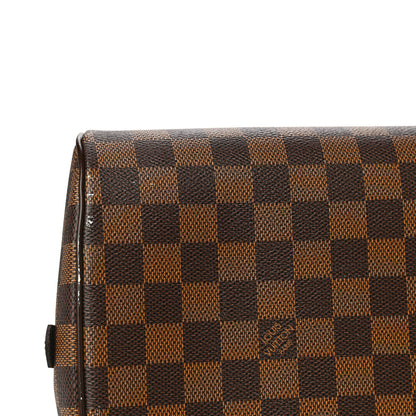 Louis Vuitton Damier Ebene Ribera MM 11 of 13