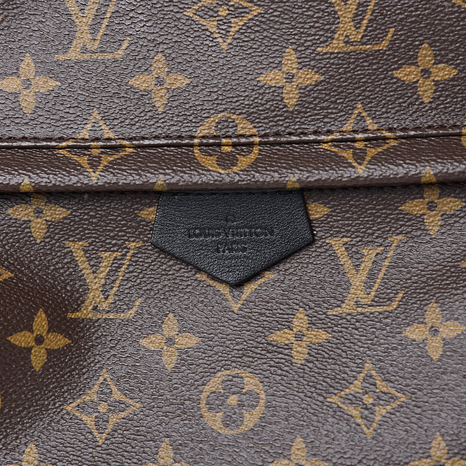 Louis Vuitton Monogram Palm Springs Backpack MM 9 of 9