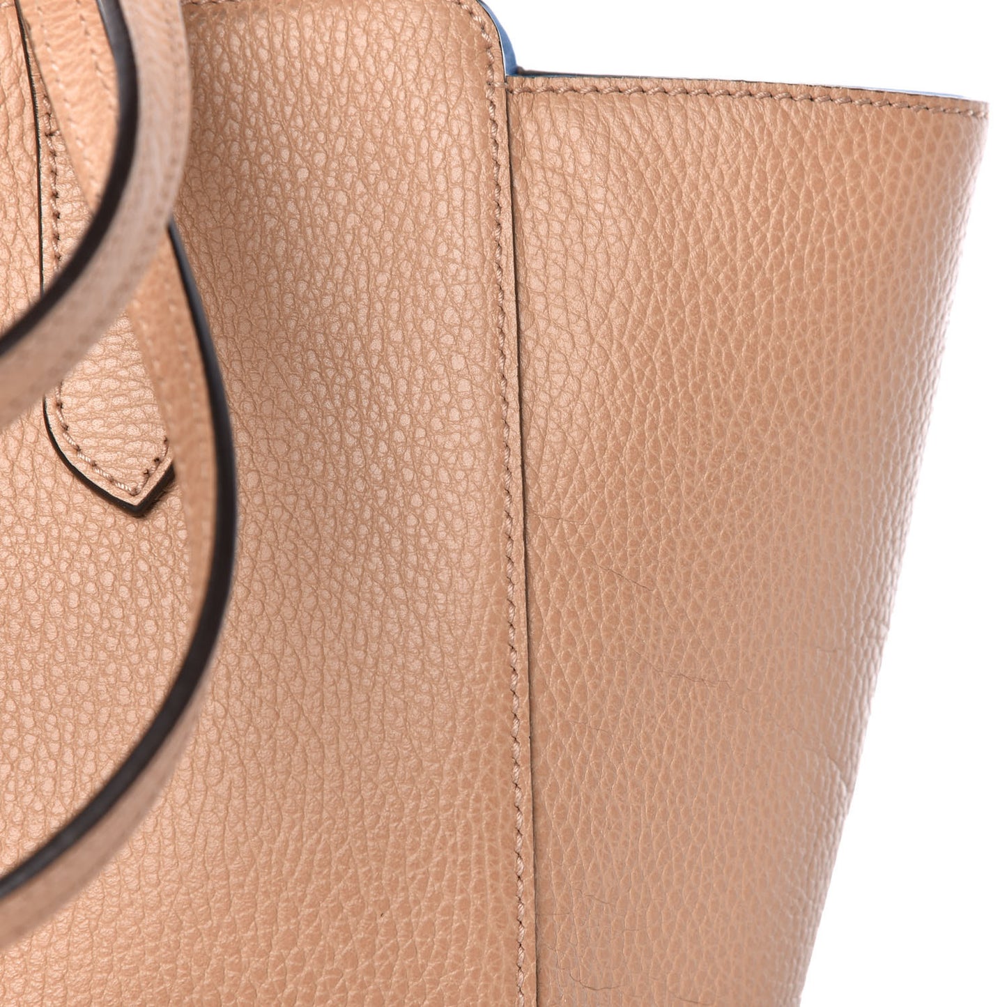 Dollar Calfskin Small Swing Tote Camelia Mineral Blue