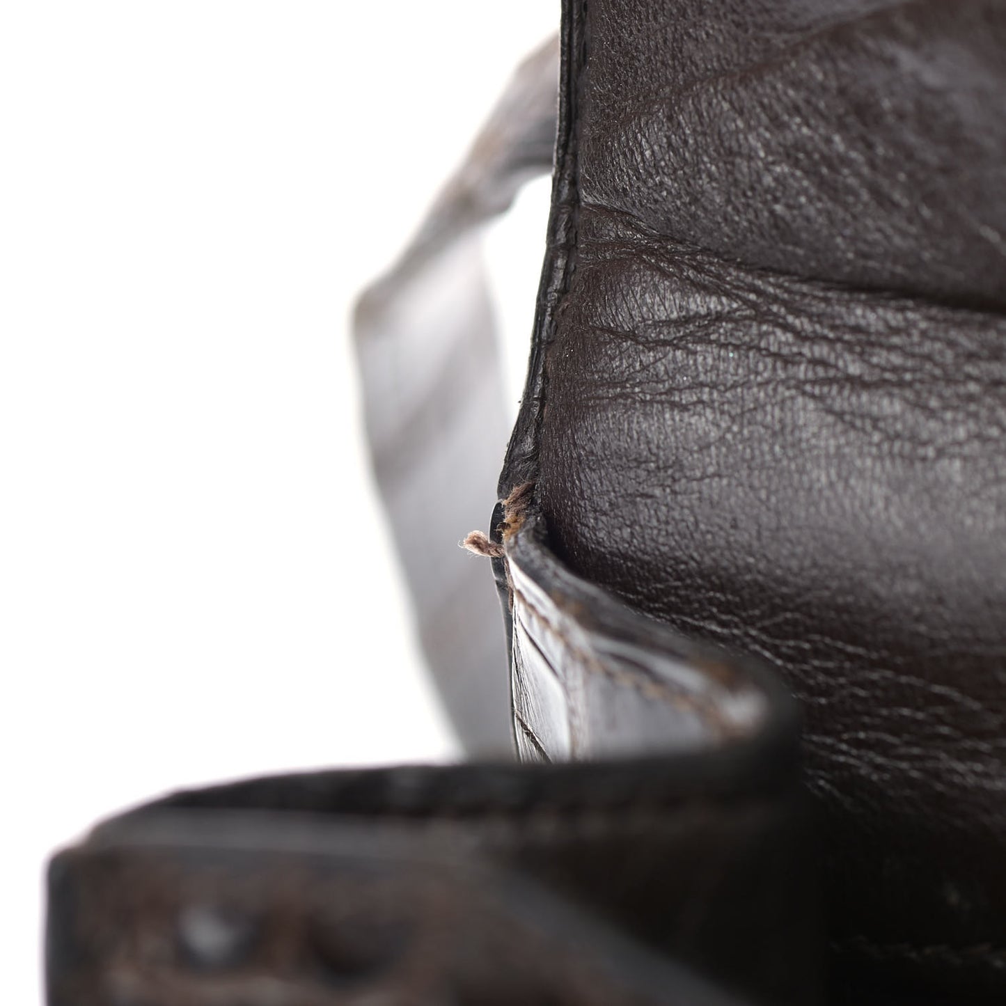 Shiny Porosus Crocodile Constance 23 Chocolate