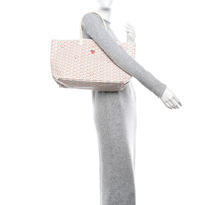 Goyard Goyardine Saint Louis Claire Voie PM White Orange 2 of 11
