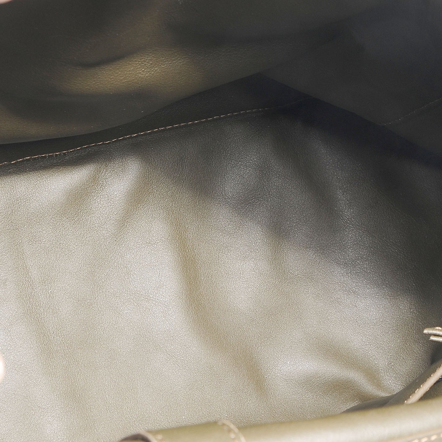 Python Large Courier Mushroom