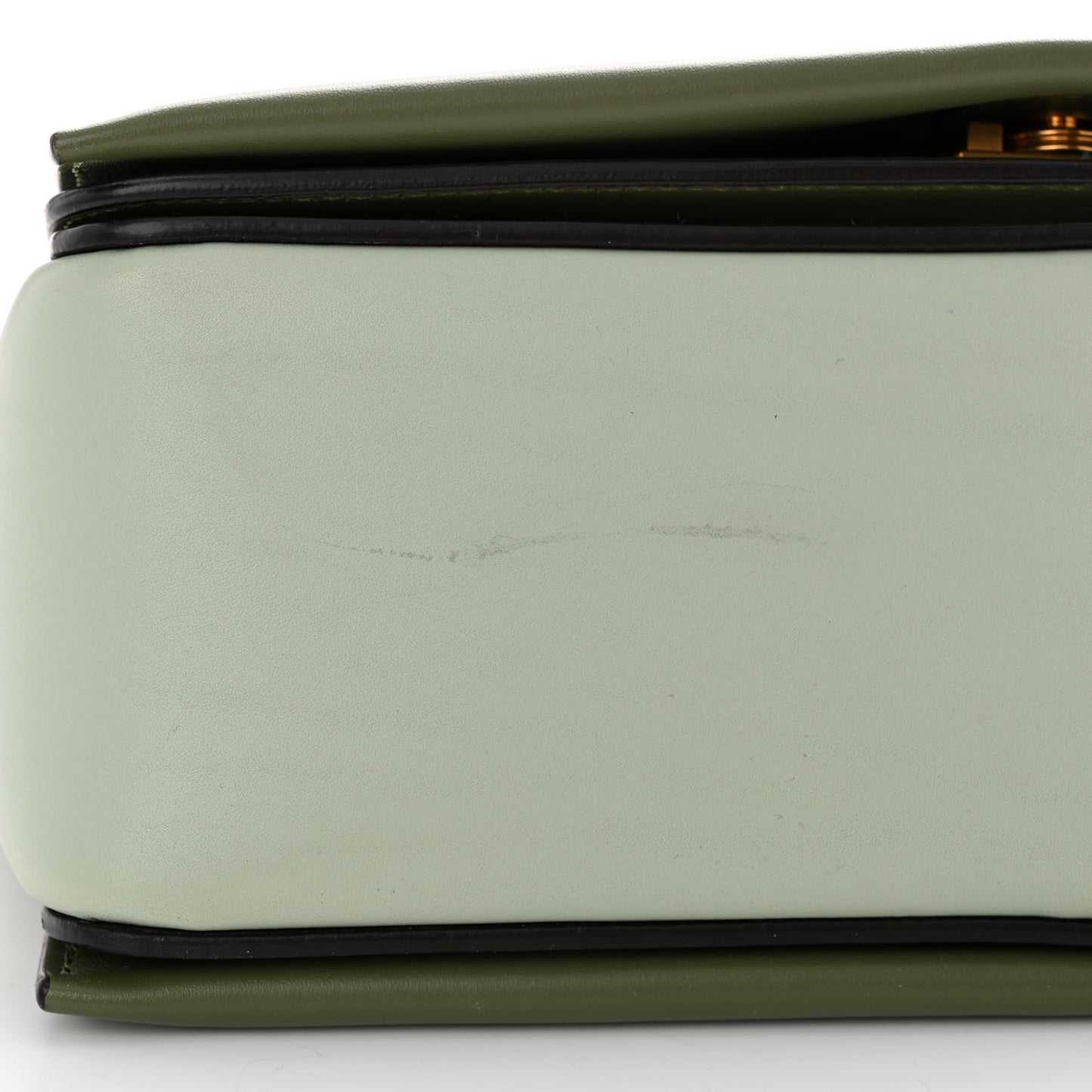 Shiny Smooth Calfskin Medium Frame Shoulder Bag Pastel Green