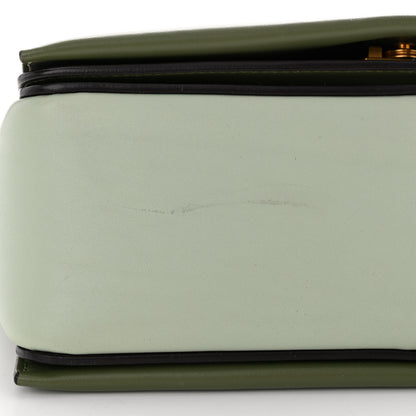 Celine Shiny Smooth Calfskin Medium Frame Shoulder Bag Pastel Green 12 of 14