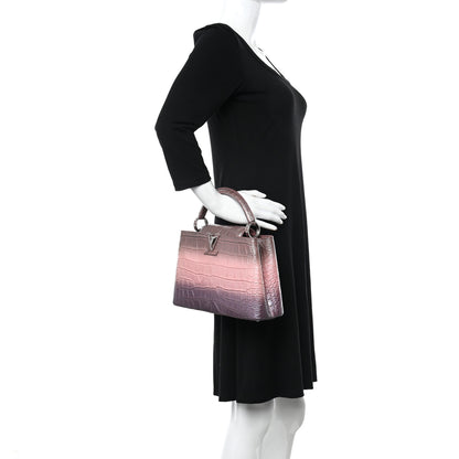 Louis Vuitton Crocodile Ombre Mini Capucines Pink 2 of 8