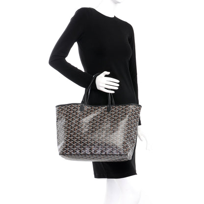 Goyard Goyardine Saint Louis PM Black 2 of 10