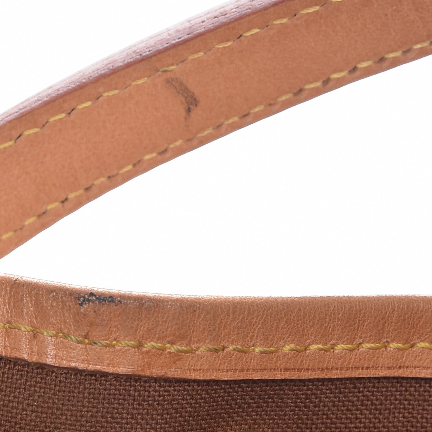Monogram Mini Noe