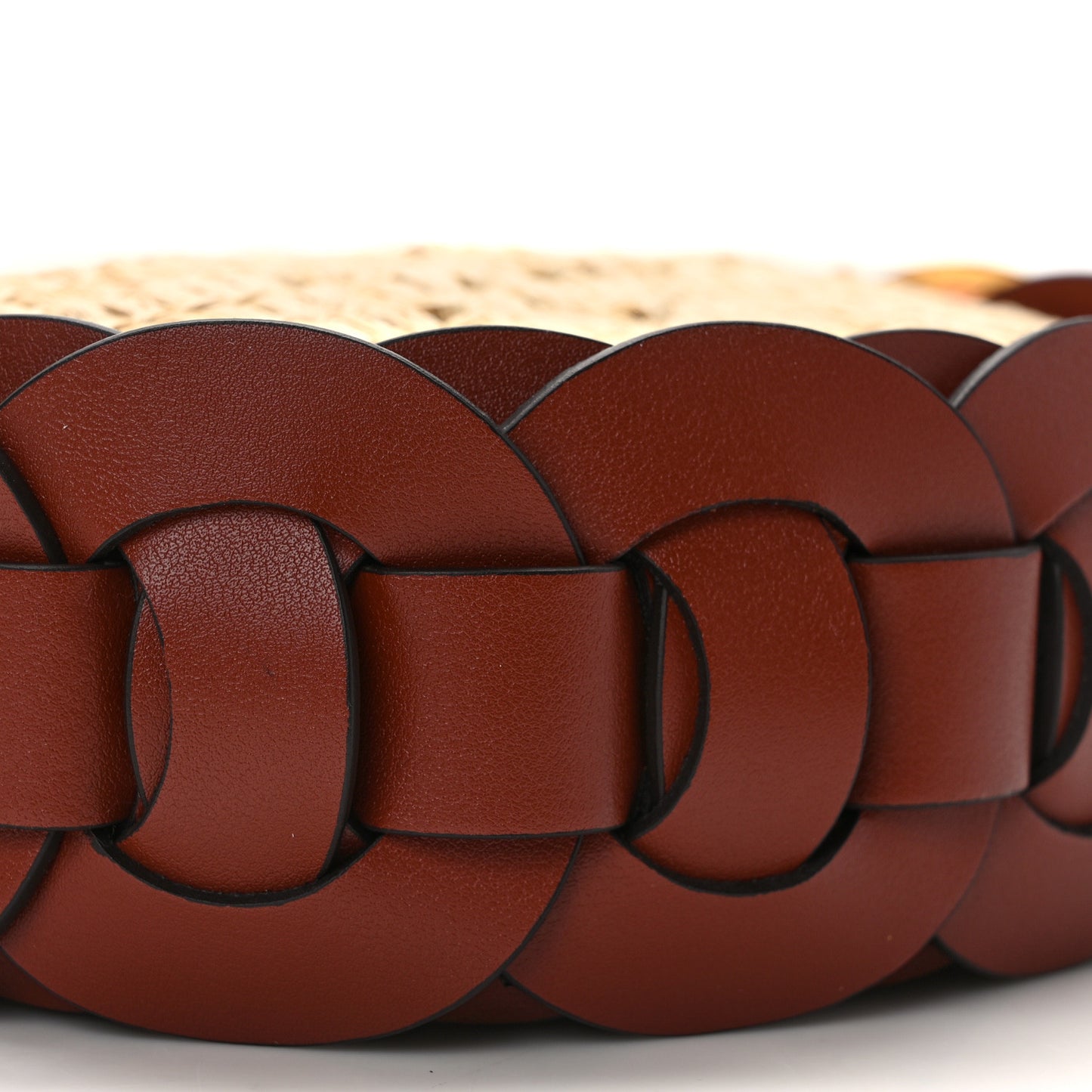 Calfskin Raffia Embroidered Small Darryl Hobo Sepia Brown