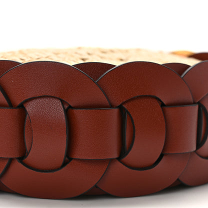 Chloe Calfskin Raffia Embroidered Small Darryl Hobo Sepia Brown 8 of 10