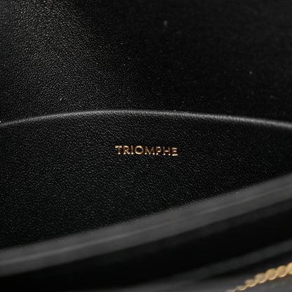 Celine Shiny Calfskin Teen Triomphe Black 9 of 15
