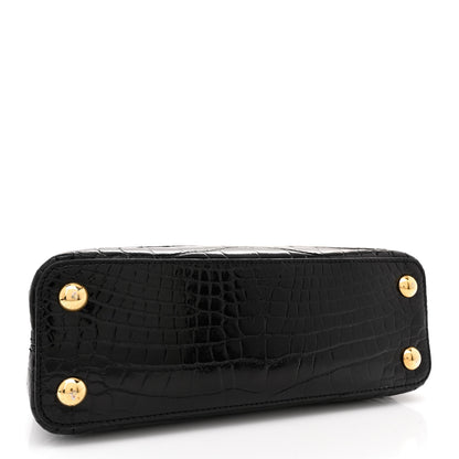 Louis Vuitton Brilliant Alligator Capucines BB Black 4 of 11