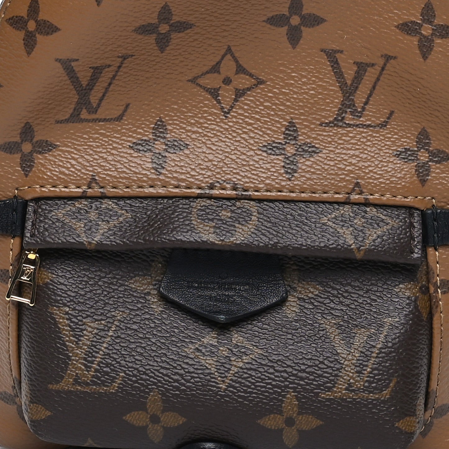 Reverse Monogram Palm Springs Backpack Mini