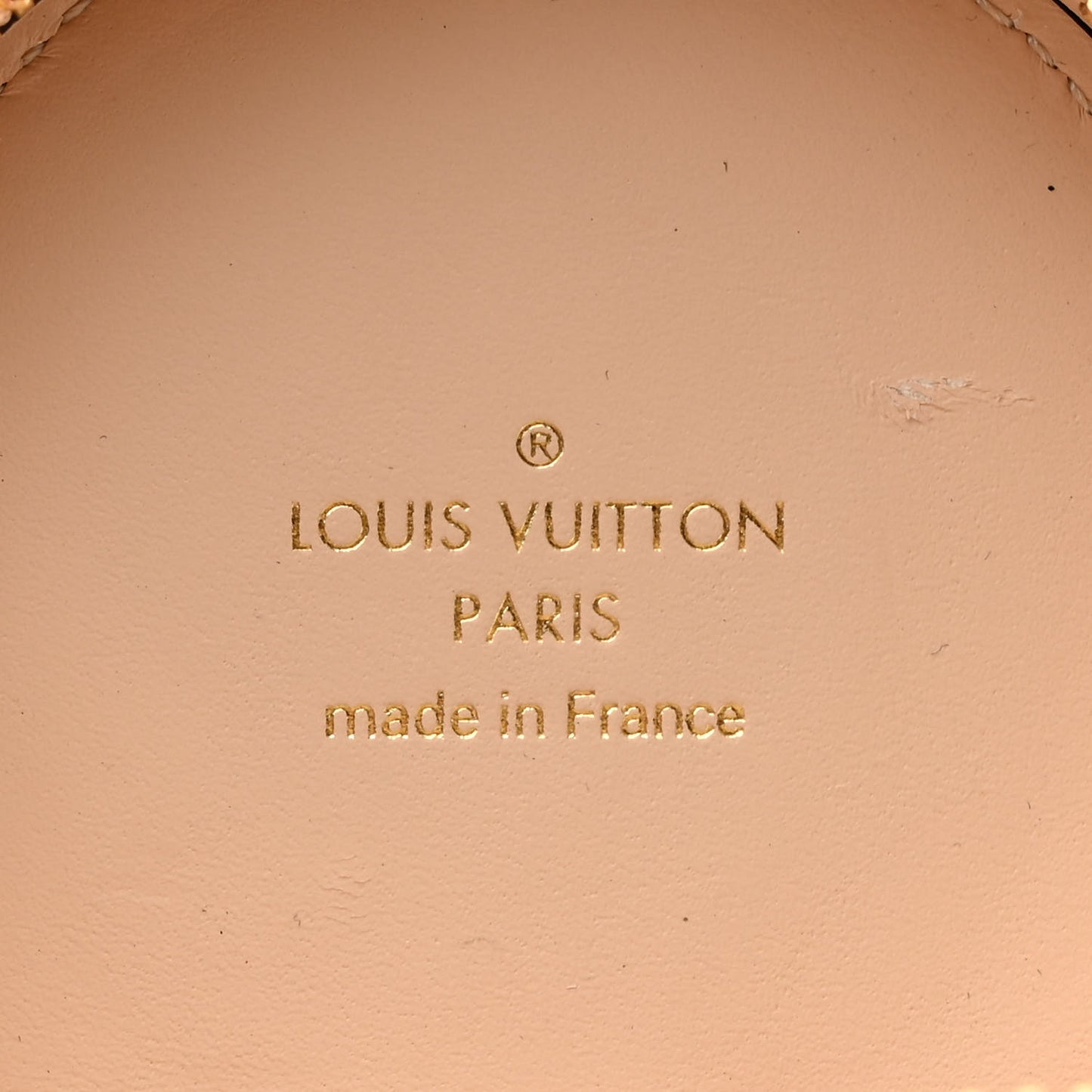 Monogram Horizon Wireless Earphones Case