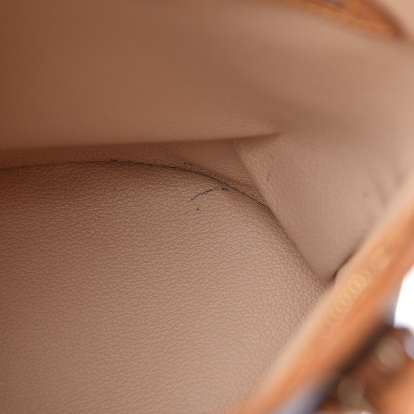 Monogram Petit Bucket 23