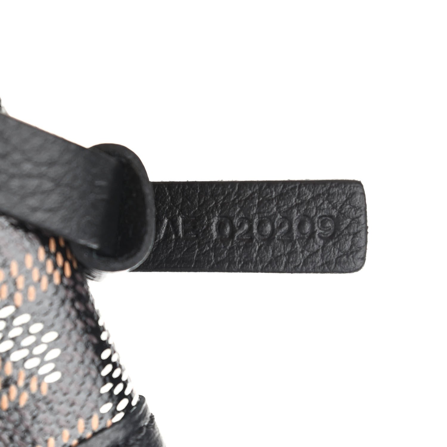 Goyard Goyardine Saint Louis GM Black 8 of 10