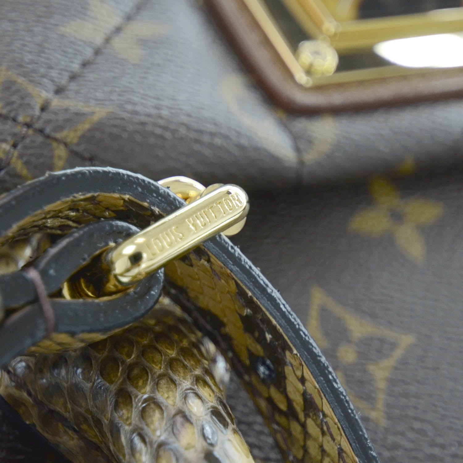 Louis Vuitton Monogram Etoile Exotique GM Miel 9 of 17