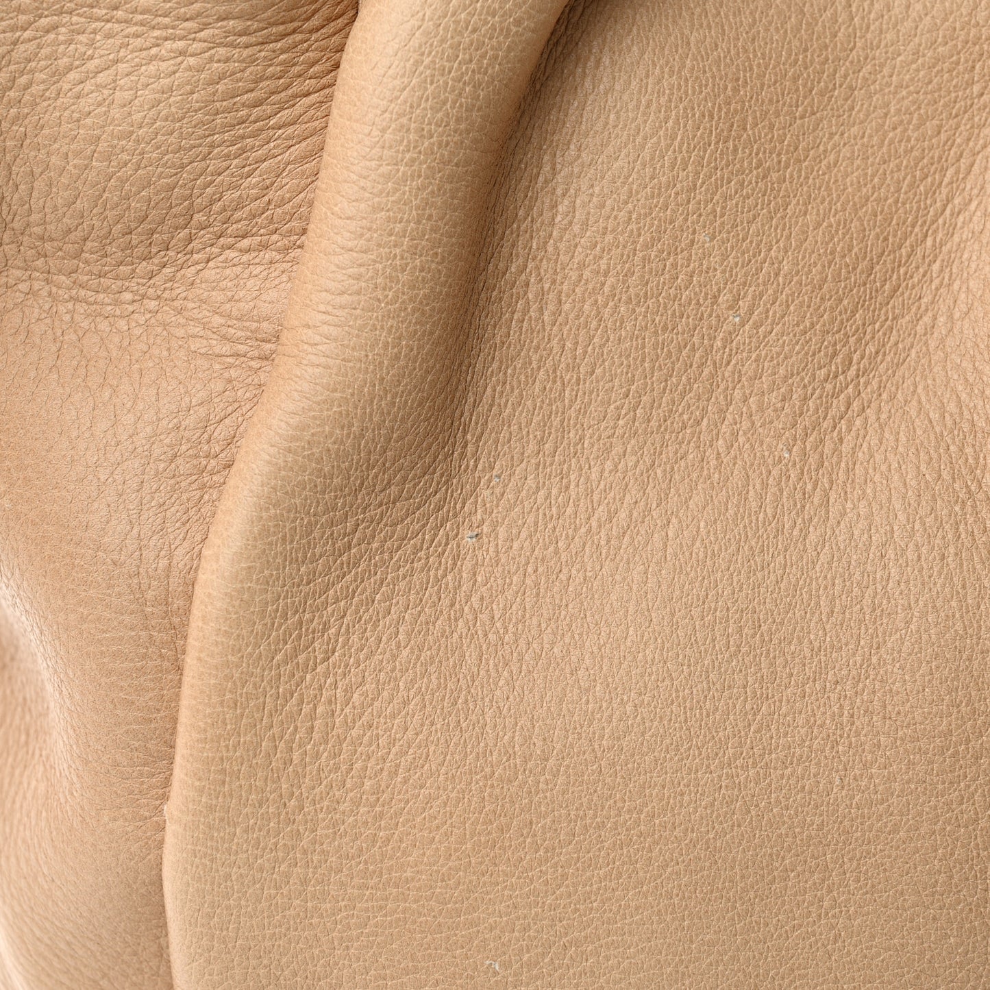 Cervo Pleats Tote Beige