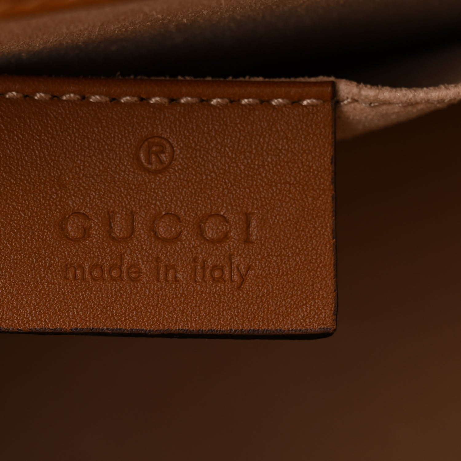 Gucci Snakeskin Suede Osiride Shoulder Bag Bright Cuir 6 of 11