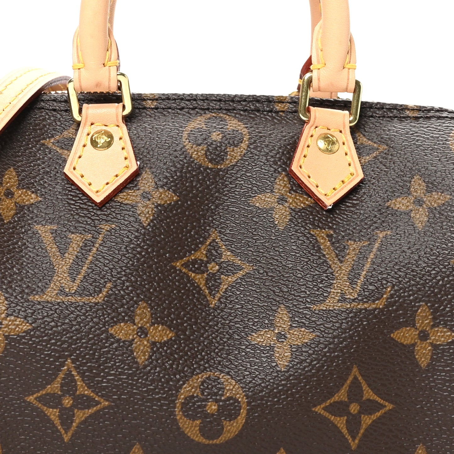 Monogram Nano Speedy