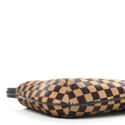 Louis Vuitton Calf Hair Damier Sauvage Tigre 7 of 8