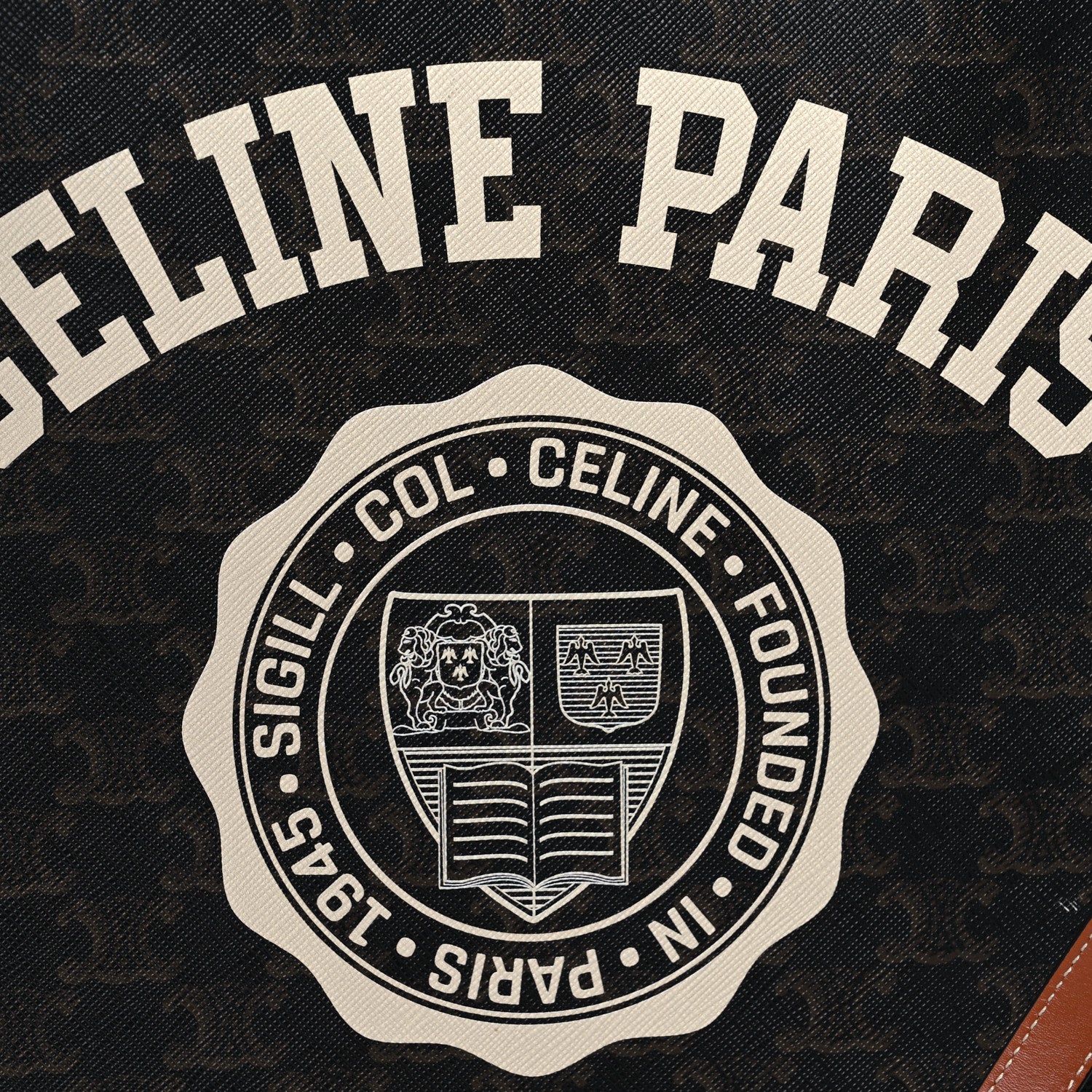 Celine Triomphe Canvas Calfskin Paris Print Small Vertical Cabas Tan 12 of 13