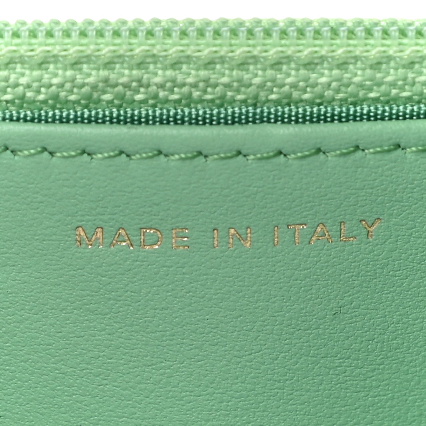 Lambskin Quilted Chanel 19 Wallet On Chain WOC Green