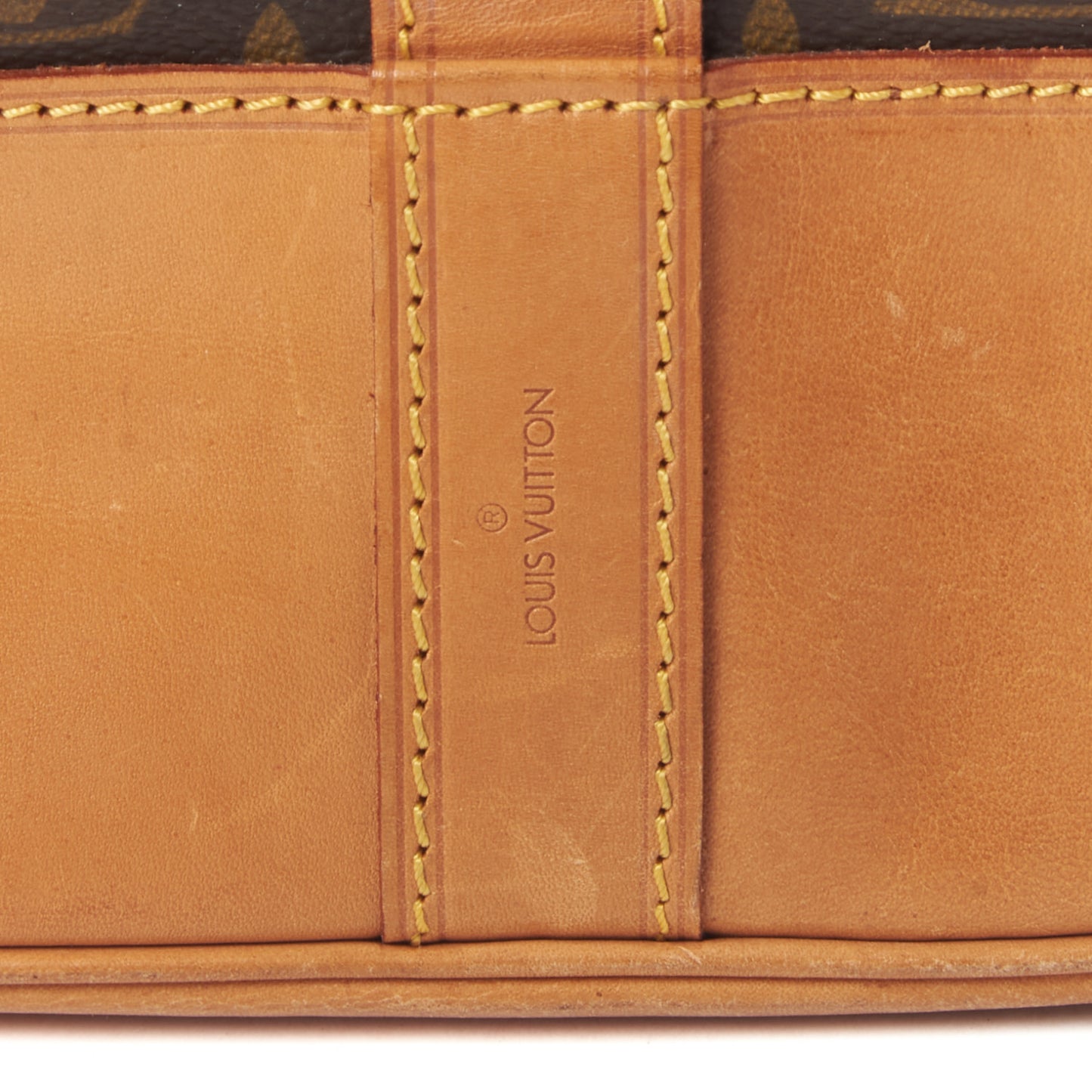 Monogram Randonnee GM Backpack