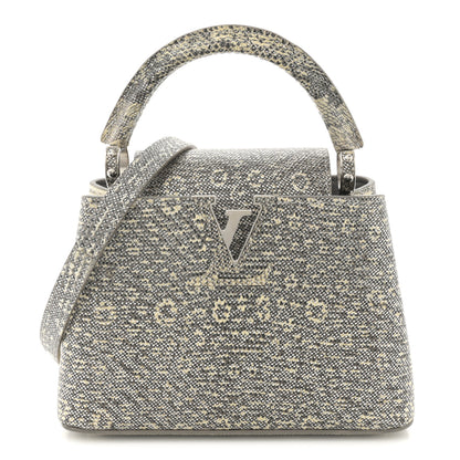Louis Vuitton Lizard Mini Capucines Argento 1 of 10