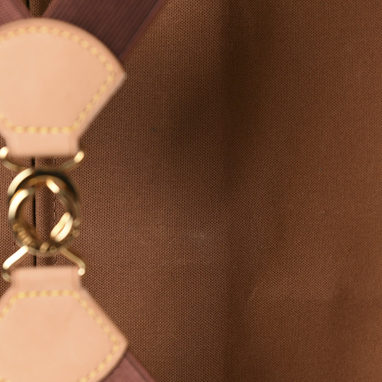 Monogram Pegase 55